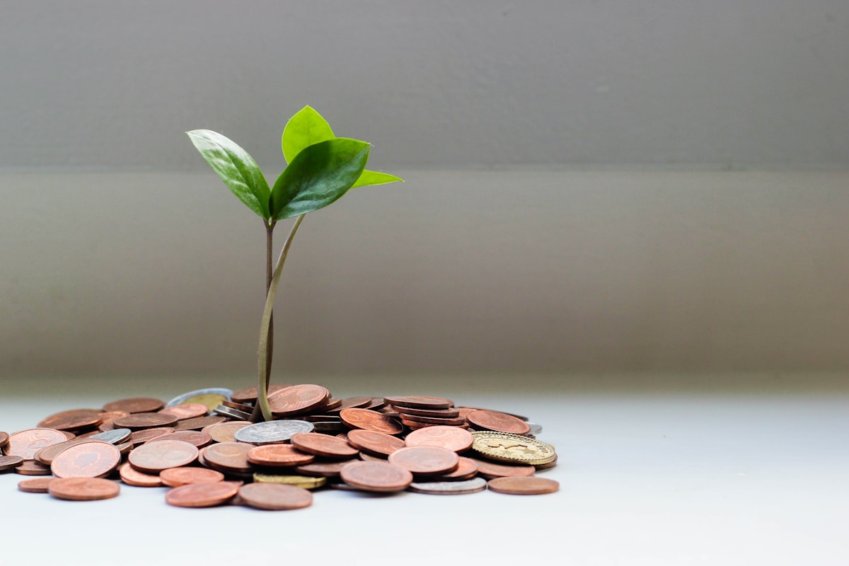 Savings and financial growth